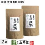 Yahoo! Yahoo!ショッピング(ヤフー ショッピング)お茶 日本茶 紅茶 国産 100％ 宮崎紅茶 50g×2袋セット リーフ 送料無料