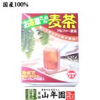 健康茶 むぎ茶 10g×16袋