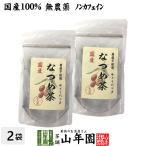 健康茶 国産 なつめ茶 ティーバッグ 24g（2g×12P）×2袋セット 送料無料