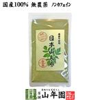 健康食品 国産無農薬100% 日本山人参 粉末 ヒュウガトウキ 50g パウダー 九州産ノンカフェイン 送料無料