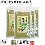 健康食品 国産無農薬100% 日本山人参