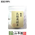 Yahoo! Yahoo!ショッピング(ヤフー ショッピング)お茶 日本茶 煎茶 茶葉 国産100％ 静岡県掛川産 乳酸発酵茶 40g 後発酵茶