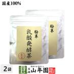 お茶 日本茶 煎茶 茶葉 国産100% 静岡県掛川産 乳酸発酵茶 40g×2袋セット 後発酵茶