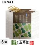 おやつ チョコレート お茶チョコ 東山 掛川茶 2枚入り×6個