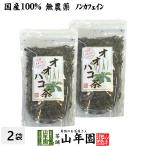 健康茶 オオバコ茶 100g