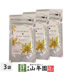 Yahoo! Yahoo!ショッピング(ヤフー ショッピング)健康食品 サプリメント プラセンタ ダイナミックプラセンタ BEAUTY 100g（20g×5本）×3袋