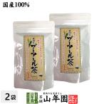 お茶 中国茶 国産プーアル茶 国産 プーアル茶 48g(4g×12)×2袋