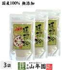 健康食品 蓮根粉 100g×3袋セット 国