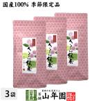 お茶 日本茶 国産100% さくら緑茶 50g×3袋セット 送料無料