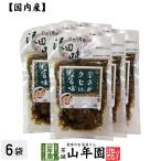 沢田の味 ピリ辛白うりしょうが漬 100g×6袋セット 国産原料使用
