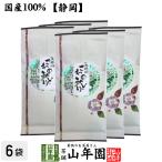 お茶 日本茶 煎茶 沢の緑100g×6袋セット 徳用 静岡茶 送料無料