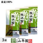 お茶 日本茶 煎茶 狭山茶 100g×3袋セット 送料無料