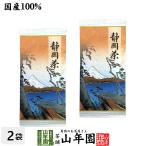 お茶 日本茶 煎茶 静岡茶 赤 100g×2袋セット 徳用 送料無料