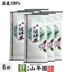 お茶 日本茶 煎茶 茶葉 彼杵茶(そのぎちゃ) 100g×6袋セット 送料無料