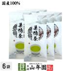 お茶 日本茶 煎茶 高級 巣鴨の屋さん山年園でしか買えない「巣鴨茶」 100g×6袋セット 深蒸し茶 徳用 送料無料