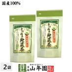 お茶 日本茶 煎茶 掛川深蒸し茶 ティーパック 掛川茶 とげぬき地蔵茶 3g×15パック×2袋セット 宇治抹茶入り ティーバッグ 送料無料