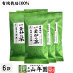 お茶 日本茶 煎茶 茶葉 特選 釜炒り茶 100g×6袋セット 送料無料