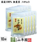 健康食品 国産100% 無農薬 ウコン 粉