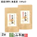 健康茶 国産100% 無農薬 ウコン茶 1.5g
