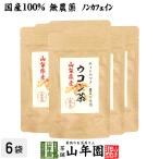 健康茶 国産100% 無農薬 ウコン茶 1.5g