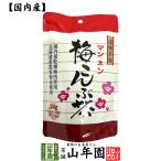 梅こんぶ茶 うめ昆布茶 24g(2g×12袋)