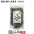 健康茶 国産100% ウラジロガシ茶 100g 