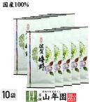 お茶 日本茶 煎茶 嬉野 100g×10袋セット 佐賀県 送料無料