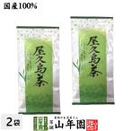 ショッピングお中元 早割 送料無料 日本茶 お茶 煎茶 茶葉 屋久島茶 100g×2袋セット