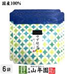 お茶 日本茶 国産100% ゆず緑茶 ティーパック 2.5g×7包×6袋セット ティーバッグ 送料無料