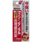 【第3類医薬品】クリーンデンタルＮ　歯槽膿漏薬　16g