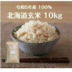 玄米 10kg「北海道産 規格外 玄米10kg」送料無料 玄米