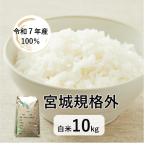 ショッピング10kg 米10kg「7年産 宮城規格外 白米 10kg」精米　白米　規格外米　受注精米　送料無料　ヤマノライス　宮城県産　