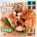 きのこ 産地直送 長野県産 ギフト 6〜7種2.2kg 信州 えのき しめじ エリンギ   鍋料理  GABA β−グルカン 菌活　鍋　