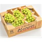 [ в продаже останавливаться ] автомобиль in мускат прямая поставка от производителя превосходящий товар 1 коробка примерно 4kg 6~8. ввод Nagano префектура производство Shinshu виноград виноград доля тщательно отобранный подарок подарок бесплатная доставка 