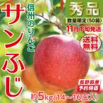 りんご リンゴ 産地直送 サンふじ５kg(12~16玉）長野県産 信州 秀品 予約 先行 限定 ギフト 贈り物