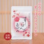 すっぽん サプリ すっぽんの恵みプレミアム 1袋62粒入り約1か月分 サプリメント 女性 すっぽんコラーゲン 美容 サプリメント 国産 肌 スッポン 料亭やまさ