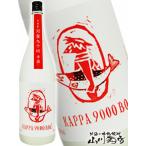 Yahoo! Yahoo!ショッピング(ヤフー ショッピング)ハロウィン 2025 ギフト　麦焼酎 河童九千坊 かっぱきゅうせんぼう 本流 冬河童 1.8L 福岡県 紅乙女酒造