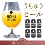 うちゅうビール 350ml 飲み比べ 6本セット お任せ 厳選 クラフトビール ギフト プレゼント 贈り物 お楽しみ おしゃれ 高級 お酒 ブルーイング 山梨県