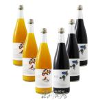 ホワイトデー 2026 ギフト 清涼飲料 P