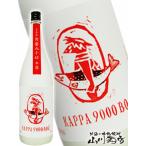 Yahoo! Yahoo!ショッピング(ヤフー ショッピング)ハロウィン 2025 ギフト　麦焼酎 河童九千坊   かっぱきゅうせんぼう   本流 冬河童 720ml   福岡県 紅乙女酒造