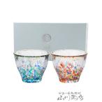 お歳暮 2025 ギフト　酒器 津軽びい�