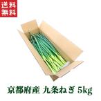 ko. Kyoto корень порез .. body роза 5kg