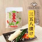 ショッピング味噌 三五八漬け 米麹 糀漬け 漬物 発酵食品 ぬか漬け より簡単 送料無料 こうじ 生糀 簡単 自然塩 麹 こうじ漬けの素
