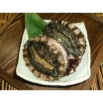  Hokkaido производство ... морское ушко большой примерно 1kg входить 
