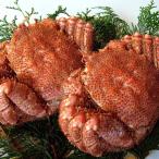  Hokkaido производство рефрижератор Boyle шерсть ..800g передний и задний (до и после) 2 хвост ввод включая доставку * Okinawa исключая отдаленные острова 