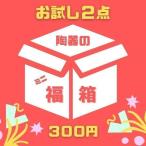 おまかせ ２点 陶器の福箱 2021 福袋 お得 お買い得 詰め合わせ 皿 鉢 ボウル プレート 丼 茶碗 コップ マグ アウトレット 廃盤商品