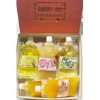 とろり飲むゼリー詰め合わせ 10 個入り みかん3個 もも3個 うめ2個 れもん2個