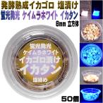 イカタン イカ 短冊 釣り餌 アミノ酸 イカゴロ漬け 紫外線 蛍光発光 ケイムラホワイト イカタン 塩漬け 8mm立方体 50個入 イカワタ