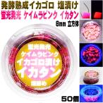 イカタン イカ 短冊 釣り餌 アミノ酸 イカゴロ 漬け 紫外線 蛍光発光 ケイムラピンク イカタン 塩漬け 8mm立方体 50個入 イカワタ