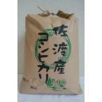 新米 令和7年 新潟県 佐渡産コシヒカリ 玄米10kg